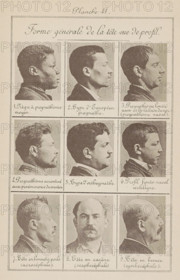 Forme générale de la tête vue de profil, Nine men's heads, arranged according to the shape of their heads, page, photomechanical print, Eight in side view, number 8 in front view., inscription: 'Négre à prognathisme moyen., Tête en besace (cymbocéphale).', number: 'Planche 41.', number: '1., 9.', France, c. 1880 - in or before 1893, paper, collotype, photoprint, height 243 mm x width 157 mm, head (human) (side view, profile), head (human) (front view), A vertical sheet showing a grid of photographic portrait panels with a decorative heading area at the top and framed borders around each panel; the panels contain sepia-toned profile and frontal portraits of adult male subjects with varied hairlines, facial hair, and head shapes, arranged in three rows with three images per row, each portrait framed by thin lines and separated by ruled horizontal and vertical dividers, and the sheet has an aged paper tone with visible grain and slight discoloration.