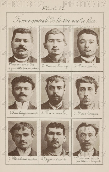 Nine male heads in front view, arranged according to the shape of their heads, Forme générale de la tête vue de face, page, photomechanical print, inscription: 'Face en throne de pyramide (ou en poire)., Pariétaux écartés (ou tête en toupie).', number: 'Planche 42.', number: '1., 9.', France, c. 1880 - in or before 1893, paper, collotype, photoprint, height 243 mm x width 157 mm, head (human) (front view), A vertical sheet with a decorative border containing a title area at the top and a grid of portrait photographs below, each portrait framed in a rectangular cell separated by thin lines; the portraits show men facing forward with a variety of facial hair styles and haircuts, ranging from clean-shaven to mustaches and beards, and different face shapes and expressions.