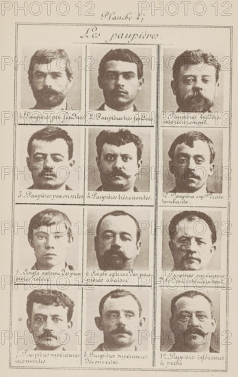 Twelve male heads in front view, arranged according to the shape of their eyelids, Les paupières, page, photomechanical print, number: '1., 12.', number: 'Planche 47.', inscription: 'Paupières peu fendues., Paupières inférieures à poche.', France, c. 1880 - in or before 1893, paper, collotype, photoprint, height 243 mm x width 157 mm, head (human) (front view), A sepia-toned page divided into a grid showing head-and-shoulders portraits of men, each portrait framed by thin lines; the men display a variety of hairstyles, facial hair styles including mustaches and beards, and neutral facial expressions; the photographs show differing face shapes and skin tones within the monochrome palette, with some men looking slightly to the side and others facing forward; the top of the page contains a decorative handwritten title area, and beneath each portrait there are captions in a cursive script; the overall page has a slightly aged, textured background and a simple border around the grid.