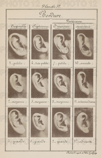 Twelve images of ears, arranged by shape, Bordure., page, photomechanical print, number: 'Planche 52.', inscription: 'Originelle : petite, moyenne, grande., ouverture : ouverte, intermédiaire, adhérente.', number: '1., 12.', photographer: Geoffray, Dugast & Felix, France, cliché maker: anonymous, c. 1880 - in or before 1893, paper, collotype, photoprint, height 243 mm x width 157 mm, ears, A rectangular page with a bordered header and a cursive title centered at the top, divided into four vertical columns by thin lines, each column containing three framed sepia photographs of human ears arranged in rows, with handwritten cursive captions beneath each photograph and ornamental horizontal and vertical rules separating the sections; the ears vary in shape and orientation and are shown against dark textured backgrounds, the page has a light aged paper tone and a thin outer border surrounding all content.
