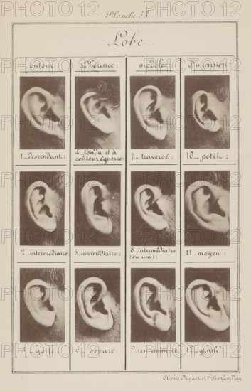Lobe., Twelve images of ears, arranged by the shape of the earlobe, page, photomechanical print, inscription: 'contour : descendant, intermédiaire, golfe., Dimension : petit, moyen, grand.', number: '1., 12.', number: 'Planche 53.', photographer: Geoffray, Dugast & Felix, France, cliché maker: anonymous, c. 1880 - in or before 1893, paper, collotype, photoprint, height 243 mm x width 157 mm, ears, A tall rectangular sheet divided into vertical columns and horizontal rows, each cell containing a close-up black-and-white photograph of a human ear showing different shapes and orientations, with handwritten labels beneath each photograph; a decorative header with cursive script is at the top center, and thin ruled borders frame the entire sheet.