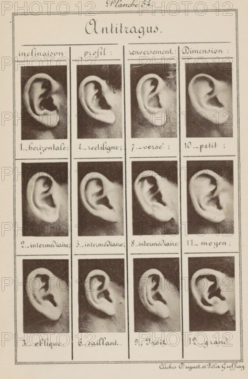 Antitragus, Twelve images of ears, arranged according to the shape of the antitragus, page, photomechanical print, number: '1., 12.', inscription: 'inclinaison : horizontal, intermédiaire, oblique., Dimension : petit, moyen, grand.', number: 'Planche 54.', photographer: Geoffray, Dugast & Felix, France, cliché maker: anonymous, c. 1880 - in or before 1893, paper, collotype, photoprint, height 243 mm x width 157 mm, ears, A vertical sheet divided into narrow columns and rows showing a grid of portrait-oriented photographs of ears, each photo depicting a side view of a single ear against a dark background, with light-toned skin and varied ear shapes and contours; the top has a decorative handwritten title area and the sheet is bordered by thin lines, with evenly spaced rectangular boxes containing the ear images arranged in columns, and a small signature-like handwritten note at the bottom right.