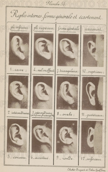 Replis interns, forme générale et écartement, Twelve images of ears, arranged by shape and width, page, photomechanical print, number: 'Planche 55.', number: '1., 12.', photographer: Geoffray, Dugast & Felix, France, cliché maker: anonymous, c. 1880 - in or before 1893, paper, collotype, photoprint, height 243 mm x width 157 mm, ears, A vertically oriented page divided into narrow columns and rows containing a grid of portrait-style sepia photographs of ears, each photograph framed with thin borders and separated by hand-drawn lines, with handwritten cursive headings and labels above and below the images; the ears are shown from side angles against dark backgrounds, displaying variations in shape and fold, with some images showing partial faces and hair, and there are decorative borders around the entire page.