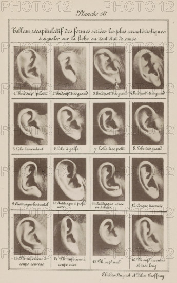 Sixteen images of ears, arranged by shape, Tableau récapitulatif des formes sériées les plus caractéristiques à signaler sur la fiche en tout état de cause, page, photomechanical print, number: 'Planche 56.', inscription: 'Bord supr plat., Pli supr. accentué et très long', number: '1., 16.', photographer: Geoffray, Dugast & Felix, France, cliché maker: anonymous, c. 1880 - in or before 1893, paper, collotype, photoprint, height 243 mm x width 157 mm, ears, A vertical sheet with a rectangular bordered layout containing a title area at the top and a grid of photographic close-ups of ears arranged in rows and columns, each ear image placed inside its own rectangular box with handwritten captions beneath; the ears vary in shape and orientation and the photos are monochrome with visible grain and soft shadows, separated by thin rules, and the page shows a pale background with slightly darker edges and faint paper texture.