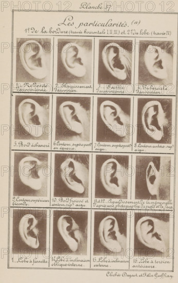 Sixteen images of ears, arranged by shape, Les particularités (a), page, photomechanical print, number: '1., 16.', number: 'Planche 57.', inscription: 'Nodosité. darvinienne., Lobe à torsion antérieure.', photographer: Geoffray, Dugast & Felix, France, cliché maker: anonymous, c. 1880 - in or before 1893, printer (person), paper, collotype, photoprint, height 243 mm x width 157 mm, ears, A vertical sheet showing a grid of sepia-toned photographic close-ups of human ears arranged in rows and columns, each ear pictured against a neutral background and framed by thin rectangular borders, with pale paper surrounding the images and decorative hand-drawn border lines near the edges of the sheet.