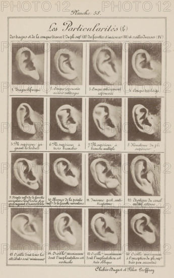 Sixteen images of ears, arranged by shape, Les particularités (b), page, photomechanical print, inscription: ', Oreille 'maximum' à l'exception du pli supr. très peu accentué.', number: 'Planche 58.', number: '1., 16.', photographer: Geoffray, Dugast & Felix, France, cliché maker: anonymous, c. 1880 - in or before 1893, Geoffray, photographer, cliché maker, printer (person), paper, collotype, photoprint, height 243 mm x width 157 mm, ears, A vertical sheet displaying a grid of framed black-and-white photographic close-ups of ears arranged in rows and columns, each ear shown from a side angle with varying shapes and folds; the top area features a decorative title line and a large script heading, and each framed photo has a small caption beneath it; the photographs show ears on a light background with tonal grain and some visible skin and hair around the edges, and the sheet is bordered by thin lines with a printer's credit line near the bottom.