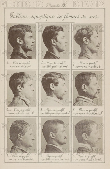 Nine male heads in side view, arranged according to the shape of their noses, Tableau synoptique des formes de nez, page, photomechanical print, Male heads en profil., number: '1., 9.', number: 'Planche 33.', inscription: 'Nez à profil cave-relevé., Nez à profil convexe-abaissé.', France, c. 1880 - in or before 1893, paper, collotype, photoprint, height 243 mm x width 157 mm, head (human) (sideview, profile), parts of the face: nose, A vertically oriented print showing a grid of portrait photographs arranged in three columns and multiple rows, each portrait a side profile of a different man against a plain background; the men display a range of hairstyles and facial hair including clean-shaven faces, mustaches, and short beards, and wear various collars and jackets; the images are framed by thin rectangular borders and separated by ruled lines, with handwritten script beneath each portrait that is visible but not described; a decorative handwritten title sits across the top within a la...