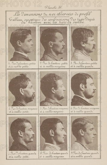 Les dimensions du nez observées de profil, Nine men's heads in side view, arranged according to the dimensions of their noses, page, photomechanical print, inscription: 'Tableau synoptique des combinaisons des three degrés de hauthor with the three sails.', inscription: 'Nez de hauthor petite et à saillie petite., Nez de hauthor grande et à saillie grande.', number: '1., 9.', number: 'Planche 36.', France, c. 1880 - in or before 1893, paper, collotype, photoprint, height 243 mm x width 157 mm, head (human) (sideview, profile), parts of the face: nose, The image shows a vertically oriented sheet divided into a grid of rectangular panels containing sepia-toned profile photographs of men's heads and upper shoulders, arranged in three columns and four rows; each portrait depicts a man in left- or right-facing profile against a plain background, with varied hairstyles, facial hair, collars, and clothing textures visible; the men display different jawlines, noses, hairlines, mustaches, beard...
