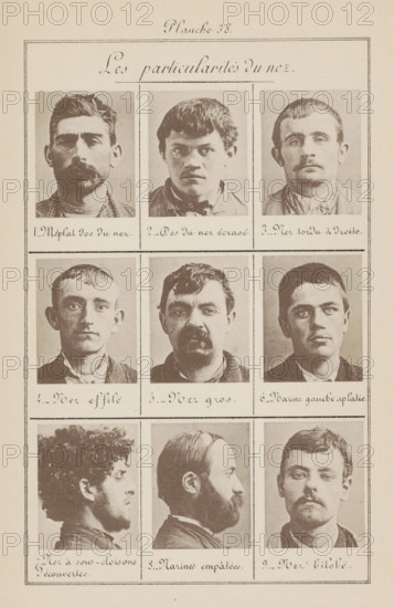 Les particularités du nez, Nine men's heads, page, photomechanical print, Seven in front view, numbers 7 and 8 in profile, number: 'Planche 38.', inscription: 'Méplat dos du nez., Nez bilobé.', number: '1., 9.', France, c. 1880 - in or before 1893, paper, collotype, photoprint, height 243 mm x width 157 mm, head (human) (side view, profile), head (human) (front view), A vertical page with a rectangular border divided into three horizontal sections each containing three rectangular photographic portraits framed by thin lines; the top section shows three front-facing male portraits with varied hair and mustache styles, the middle section shows three additional front-facing male portraits with different facial hair and expressions, and the bottom section shows three portraits including two profile views and one front-facing view, all in sepia tones on a light background.