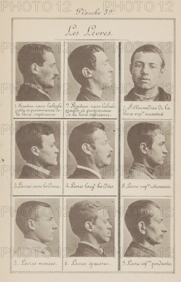 Nine men's heads, arranged according to the shape of their lips, Les Lèvres, page, photomechanical print, Eight in side view, number 7 taken in front view., number: 'Planche 39', number: '1., 9.', inscription: ', Lèvre infre. pendante.', France, c. 1880 - in or before 1893, paper, collotype, photoprint, height 243 mm x width 157 mm, head (human) (side view, profile), head (human) (front view), A vertical sheet divided into a grid of portrait photographs showing head-and-shoulder views of men, with three columns and multiple rows; the top row contains three images including two profile views and one frontal, the middle rows show side profiles primarily facing one direction, and the bottom row shows three more profile views; each photograph is framed by thin borders and separated by ruled lines; the men have varied hairstyles and facial hair including some with mustaches and some clean-shaven, and wear different collars and jackets; the paper has an aged, sepia tone and visible texture, ...