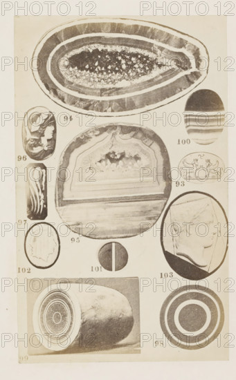 Eleven geodes and cameos, photograph, page, number: '93 - 103', photographer: F. Cole, c. 1857 - in or before 1867, paper, albumen print, height 165 mm x width 101 mm, Photo after page 92., gem, gemstone, sculpture (relief, sculpture), carving, applied arts, A tall, vertically oriented sheet showing a grid of oval and circular photographic images on a light background, including large cross sections of banded agate with crystalline interiors, smaller ovals with carved profiles of human faces, an oval featuring a decorative scene with two winged creatures facing each other, a vertical cylindrical section with concentric rings, a circular target-like pattern of concentric rings, and a small round disc divided visually into two contrasting halves; the images vary in tonal contrast from dark to light and are arranged with small blank spaces between them.