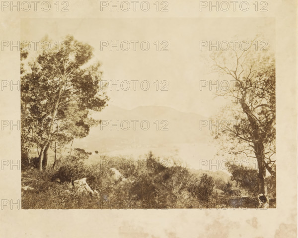 View of Menton, Menton vie prize du Cap Martin, photograph, page, photographer: Louis-Alphonse Davanne, France, c. 1852 - in or before 1862, paper, albumen print, height 135 mm x width 180 mm, Photo after page 58., rocky coast, Provence-Alpes-Côte d'Azur, Menton, A faded sepia-toned photograph showing a natural landscape framed by tall trees on either side, with denser foliage and branches visible on the left and more open, sparse branches on the right, a grassy and rocky foreground with low shrubs and scattered rocks, and a distant, hazy ridge or mountain line visible through a light, washed sky.