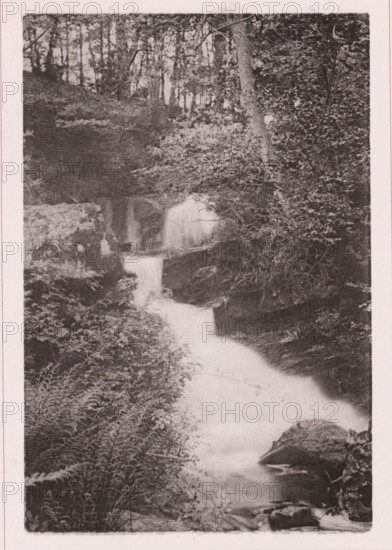 Waterfall in Fairy Dell, page, photomechanical print, c. 1890 - c. 1900, paper, collotype, photoprint, height 153 mm x width 101 mm, waterfall, A vertical grayscale photograph showing a woodland scene with a narrow waterfall and stream flowing toward the foreground, surrounded by dense foliage and trees; the water cascades down rocky ledges and appears smooth and misty, with leafy undergrowth and ferns along the banks, tree trunks and branches framing the sides, and rocks visible near the water's edge.