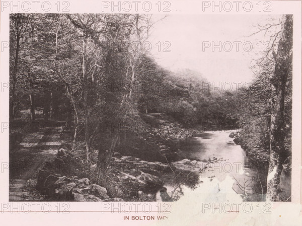 In Bolton Wo..., page, photomechanical print, c. 1890 - c. 1900, textile materials, linen (material), collotype, photoprint, height 102 mm x width 152 mm, forest, wood, river, A wide landscape photograph in monochrome showing a river flowing from the midground toward the foreground with smooth water and rocks along its banks, flanked by trees with bare branches and foliage on both sides, a dense wooded area on the left with a shadowed path running beside it, a rocky riverbank in the foreground, a taller tree trunk visible along the right edge, and distant wooded hills fading into a bright sky.