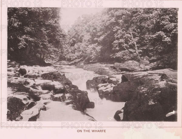 On the Wharfe, page, photomechanical print, c. 1890 - c. 1900, textile materials, linen (material), collotype, photoprint, height 102 mm x width 152 mm, river, A monochrome photograph of a rocky river scene framed by dense trees on both sides, with water flowing through a narrow channel between large boulders and rocks; the riverbed and stones in the foreground show smooth, worn surfaces and some lighter patches, while the background features a canopy of foliage with varied leaf textures and a tall slender tree trunk visible on one side.