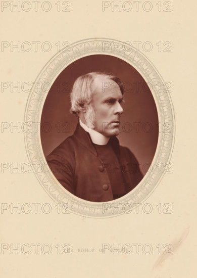 The bishop of London, page, photomechanical print, photographer: Lock & Whitfield, cliché maker: anonymous, c. 1871 - in or before 1876, paper, Woodburytype, height 115 mm x width 89 mm, Person, John Jackson, functionaries and dignitaries, episcopal Protestant churches, historical persons (portraits and scenes from the life) ((full) bust portrait), An oval sepia portrait of a middle-aged man shown in profile facing right, with light-colored hair parted at the side and long sideburns, wearing a dark clerical coat with visible buttons and a high white collar, set against a plain darker background and framed by an ornate patterned oval mat on a light beige textured paper.