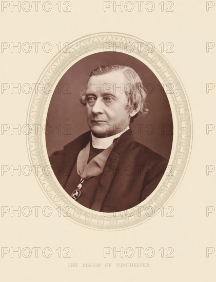 The bishop of Winchester, page, photomechanical print, photographer: Lock & Whitfield, cliché maker: anonymous, c. 1871 - in or before 1876, paper, Woodburytype, Woodbury Process, height 115 mm x width 89 mm, Person, Harold Browne, functions and dignitaries, episcopal Protestant churches, historical persons (portraits and scenes from the life) ((full) bust portrait), A sepia portrait of a middle-aged man shown from the chest up inside an oval frame with an ornate patterned border, the man wearing clerical clothing including a dark jacket, a light-colored clerical collar, and a decorative pendant on a ribbon, his hair is light and styled with waves at the sides, his expression is neutral and he is looking slightly to his right, the background within the oval is plain and darker than the surrounding pale paper.