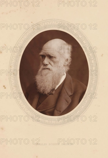 Charles Robert Darwin, page, photomechanical print, photographer: Lock & Whitfield, cliché maker: anonymous, c. 1873 - in or before 1878, paper, Woodburytype, Woodbury Process, height 115 mm x width 89 mm, Person, Charles Darwin, scholar, philosopher, historical persons (portraits and scenes from the life) ((full) bust portrait), A sepia-toned oval portrait of an older man with a full white beard and mustache, a high forehead with sparse hair on top, and deep-set eyes looking to his left, set against a darker oval background and framed by an ornate decorative oval border on a light paper mount, the man wearing a dark suit jacket and a collared shirt visible at the neckline.