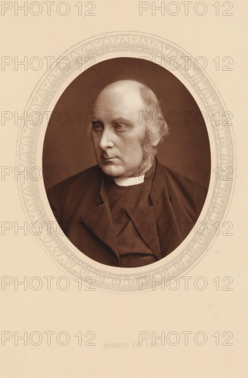 Bishop of Ely, page, photomechanical print, photographer: Lock & Whitfield, cliché maker: anonymous, c. 1875 - in or before 1880, paper, Woodburytype, Woodbury Process, height 115 mm x width 89 mm, Person, James Woodford, archbishop, bishop, etc. (Roman Catholic), historical persons (portraits and scenes from the life) ((full) bust portrait), A sepia toned oval portrait of an older man with a high forehead and receding hairline, sideburns, and a neutral expression, dressed in dark clerical clothing with a white collar, set against a plain darker background and surrounded by a decorative oval border on a light background.