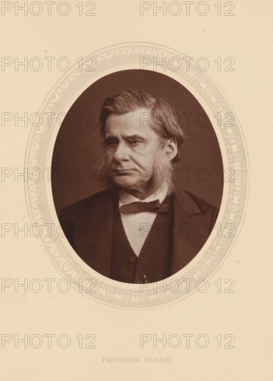 Professor Huxley, page, photomechanical print, photographer: Lock & Whitfield, cliché maker: anonymous, c. 1875 - in or before 1880, paper, Woodburytype, Woodbury Process, height 115 mm x width 89 mm, Person, Thomas Henry Huxley, professor, historical persons (portraits and scenes from the life) ((full) bust portrait), A sepia-toned oval portrait of a middle-aged man with swept-back hair and pronounced sideburns, wearing a dark suit jacket, waistcoat, white shirt, and a bow tie, set within a decorative oval border on a pale background.