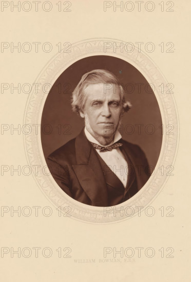 William Bowman, FRS, page, photomechanical print, photographer: Lock & Whitfield, cliché maker: anonymous, c. 1875 - in or before 1880, paper, Woodburytype, Woodbury Process, height 115 mm x width 89 mm, Person, physician, doctor, historical persons (portraits and scenes from the life) ((full) bust portrait), A sepia-toned oval portrait of an older man with side-parted hair and prominent sideburns framed by a decorative oval mat; he wears a dark suit jacket over a waistcoat and a white shirt with a bow tie, and his expression is neutral with slightly downturned lips and a steady gaze directed forward.