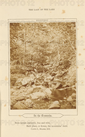 Stream with wooded banks in the Trossachs, In the Trossachs, photograph, page, inscription: 'Boon nature scattered, free and wild, Each plant, or flower, the mountains' child. Canto I., Stanza XII.', photographer: attributed to George Washington Wilson, Trossachs, c. 1861 - in or before 1871, George Washington Wilson, photographer, Attributed to, paper, albumen print, height 104 mm x width 79 mm, forest, wood, river, A sepia-toned photograph framed on a cream-colored page shows a wooded stream scene with trees and dense foliage along rocky banks, ferns growing among large boulders and stones, and water flowing over rocks forming small pools and cascades, with branches and undergrowth visible throughout the forested area.