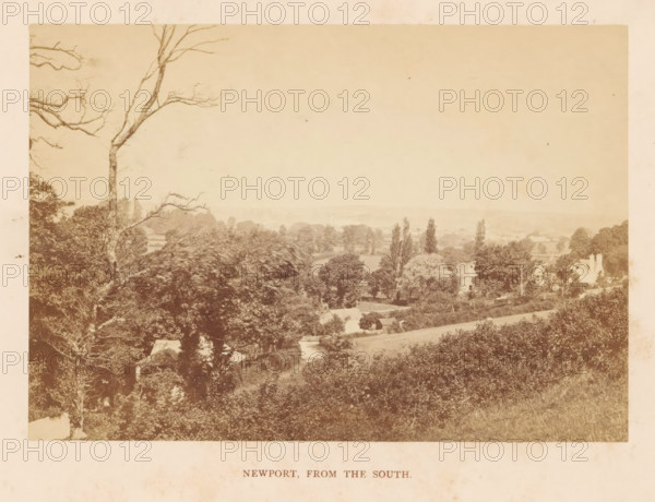 Newport, from the South, photograph, page, photographer: William Russell Sedgfield, Isle of Wight, c. 1859 - in or before 1869, paper, albumen print, height 100 mm x width 143 mm, city-view in general, 'veduta', A sepia-toned landscape photograph showing a wide view over rolling fields and clusters of trees with a tall bare-branched tree in the left foreground and denser leafy trees spreading across the middle ground, scattered small buildings and cottages partially visible among the trees, a winding path or road leading through the lower area, distant low hills on the horizon, and a pale sky above.