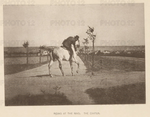 Man riding a horse at a gallop, Riding at the ring. The canter, page, photomechanical print, cliché maker: Römmler & Jonas, Dresden, c. 1879 - in or before 1889, photographer, paper, collotype, photoprint, height 98 mm x width 136 mm, riding a horse, ass, or mule, rider, horseman, galloping horse, head-gear: bowler hat, A grainy sepia photograph shows a person wearing a hat and dark clothing riding a light-colored horse along a straight path, the rider leaning forward and holding the reins while the horse lifts a front leg; young slender trees line the path and a low horizon with small buildings is visible in the distance, with an open sky above and a darker foreground at the bottom of the image.