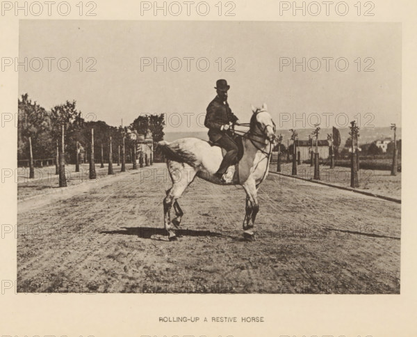 Rolling-up a restive horse, Man on a horse, page, photomechanical print, cliché maker: Römmler & Jonas, Dresden, c. 1879 - in or before 1889, photographer, paper, collotype, photoprint, height 97 mm x width 137 mm, horse, riding a horse, ass, or mule, rider, horseman, head-gear: bowler hat, A black-and-white photograph of a person wearing a dark suit and bowler hat riding a light-colored horse on a dirt road, the rider holding the reins while the horse lifts its front legs and turns its head slightly, with rows of young trees along both sides of the road, a line of taller trees and a small building visible in the background, and an expanse of sky above.