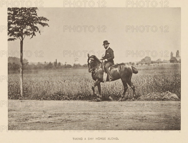 Man riding a shy horse, Taking a shy horse along, page, photomechanical print, cliché maker: Römmler & Jonas, Dresden, c. 1879 - in or before 1889, photographer, paper, collotype, photoprint, height 97 mm x width 137 mm, horse, riding a horse, ass, or mule, rider, horseman, head-gear: bowler hat, A sepia-toned photograph shows a man wearing a dark suit and bowler hat riding a dark horse along a dirt path beside a field of tall grass, with a single tree at the left edge of the frame and a distant low horizon with scattered trees and structures in the background.