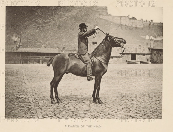 Elevation of the head, Man on a horse lifting the horse's head with the reins, page, photomechanical print, photographer: Alexander Nicol (possibly), Edinburgh (possibly), cliché maker: Römmler & Jonas, Dresden, printer (person): Römmler & Jonas, c. 1879 - in or before 1889, Alexander Nicol, Römmler & Jonas, photographer, Edinburgh, paper, collotype, photogravure, height 98 mm x width 137 mm, horse, riding a horse, ass, or mule, rider, horseman, head-gear: bowler hat, A man wearing a dark suit jacket and a bowler hat sits upright on a dark horse on a cobblestone surface, holding raised reins with both hands; the horse stands with its head elevated and mouth open, showing a bit and bridle straps; behind them there is a low building with a row of windows and a fence along its base, and beyond that a hillside topped by a stone wall and additional roofed structures; the image is monochrome with a wide light border.