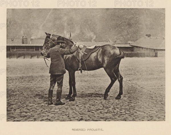 Man in front of a horse, Reversed pirouette, page, photomechanical print, photographer: Alexander Nicol (possibly), Edinburgh (possibly), cliché maker: Römmler & Jonas, Dresden, c. 1879 - in or before 1889, paper, collotype, photoprint, height 97 mm x width 137 mm, horse, riding a horse, ass, or mule, rider, horseman, head-gear: bowler hat, A sepia-toned photograph showing a man standing beside a saddled horse on a cobbled surface, the man wearing a coat, breeches, boots, and a hat while holding the horse's bridle and touching the saddle area, the horse facing left with visible tack and a tail, a low fence and indistinct buildings in the background under a cloudy sky.