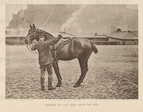 Carrying the hind legs under the body, Man next to a horse, page, photomechanical print, photographer: Alexander Nicol (possibly), Edinburgh (possibly), cliché maker: Römmler & Jonas, Dresden, c. 1879 - in or before 1889, paper, collotype, photoprint, height 98 mm x width 137 mm, horse, riding a horse, ass, or mule, rider, horseman, head-gear: bowler hat, A person wearing a hat, jacket, knee-length pants, and tall boots stands on a cobbled surface facing a horse, holding the horse's reins and a long stick or crop; the horse is saddled and shown in profile with its tail visible, and a distant low building and a rocky hillside form the background under a cloudy sky.