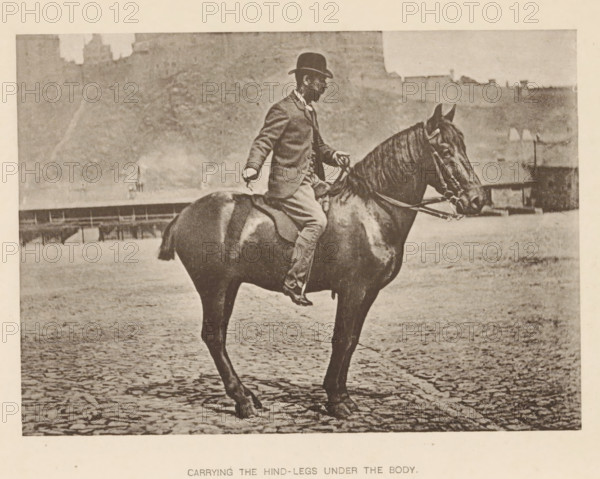 Carrying the hind-legs under the body, Man on a horse, page, photomechanical print, photographer: Alexander Nicol (possibly), Edinburgh (possibly), cliché maker: Römmler & Jonas, Dresden, c. 1879 - in or before 1889, paper, collotype, photoprint, height 98 mm x width 137 mm, horse, riding a horse, ass, or mule, rider, horseman, head-gear: bowler hat, A sepia-toned photograph showing a man in a suit and bowler hat seated on a dark horse on a cobblestone surface; the man holds the reins with one hand and his other hand is relaxed at his side, his posture upright; the horse is shown in profile with visible bridle and reins, a short tail, and one hind leg positioned beneath its body; a low railing and indistinct buildings or walls form the background under a pale sky.