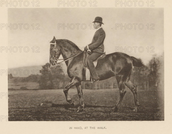 Man on a horse, In hand, at the walk, page, photomechanical print, cliché maker: Römmler & Jonas, Dresden, c. 1879 - in or before 1889, photographer, paper, collotype, photoprint, height 93 mm x width 129 mm, horse, riding a horse, ass, or mule, rider, horseman, head-gear: bowler hat, A sepia-toned photograph showing a person in formal riding attire seated upright on a dark horse, the rider wearing a bowler-style hat and holding the reins, the horse shown in profile with bridle and saddle visible and one foreleg raised as if in motion, a grassy field and distant trees in the background, and a light border surrounding the image.