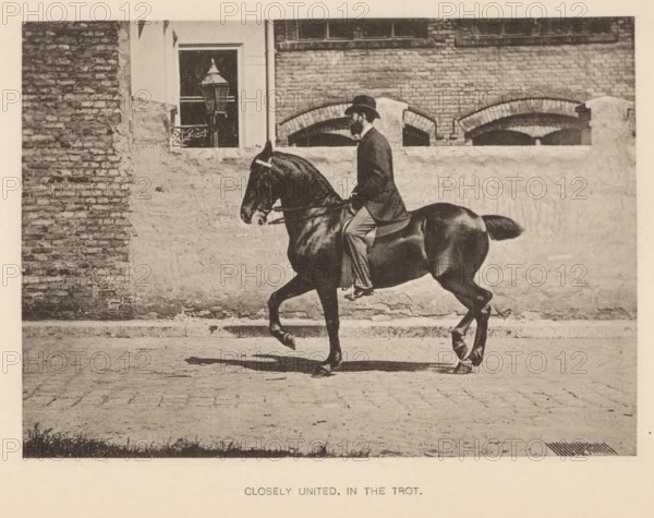 Closely united, in the trot, Man on a horse at a trot, page, photomechanical print, photographer: Alexander Nicol (possibly), Edinburgh (possibly), cliché maker: Römmler & Jonas, Dresden, c. 1879 - in or before 1889, paper, collotype, photoprint, height 97 mm x width 137 mm, horse, riding a horse, ass, or mule, rider, horseman, trotting (horse in motion), head-gear: bowler hat, A sepia-toned photograph shows a man wearing a dark jacket and bowler hat seated upright on a dark horse in mid-trot, holding the reins; the horse has a shiny coat and a raised front leg, and its tail is slightly elevated. They are positioned in front of a textured wall with exposed brick sections and arched brick openings, and a window with a lamp visible behind bars. The ground is paved with cobbles in foreground and a shadow of the horse and rider falls on the pavement.