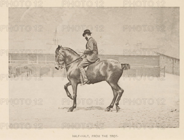 Man on a horse with one front leg up, Half-halt, from the trot, page, photomechanical print, photographer: Alexander Nicol (possibly), Edinburgh (possibly), cliché maker: Römmler & Jonas, Dresden, c. 1879 - in or before 1889, paper, collotype, photoprint, height 97 mm x width 137 mm, horse, riding a horse, ass, or mule, rider, horseman, head-gear: bowler hat, A sepia-toned photograph of a man seated astride a horse in an open area with a fence and indistinct buildings in the background; the man wears a hat and a jacket and holds the reins while the horse lifts a front leg and shows visible muscle definition and a short tail.