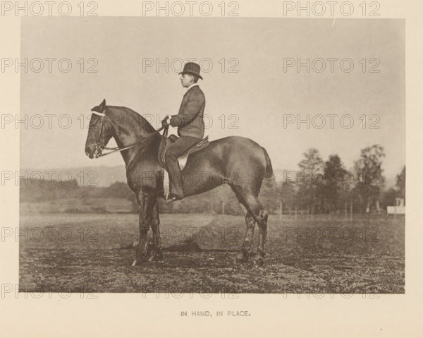 In hand, in place, Man on a horse, page, photomechanical print, cliché maker: Römmler & Jonas, Dresden, c. 1879 - in or before 1889, photographer, paper, collotype, photoprint, height 97 mm x width 136 mm, horse, riding a horse, ass, or mule, rider, horseman, head-gear: bowler hat, A sepia-toned photograph of a person seated upright on a horse in an open field, wearing a dark jacket and a hat, holding the reins with both hands; the horse stands with a bridle and saddle visible, trees and a distant horizon appear in the background, and the image is framed by a light border.