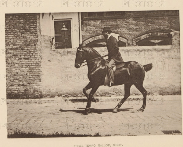 Three tempo gallop, right, Man on a horse at a gallop, page, photomechanical print, photographer: Alexander Nicol (possibly), Edinburgh (possibly), cliché maker: Römmler & Jonas, Dresden, c. 1879 - in or before 1889, paper, collotype, photoprint, height 98 mm x width 137 mm, riding a horse, ass, or mule, rider, horseman, galloping horse, head-gear: bowler hat, A sepia-toned photograph showing a person wearing a hat and a coat riding a dark horse along a paved street in front of a brick and plaster wall with a window and an old-fashioned street lamp, the rider sitting upright in a saddle while the horse moves with one front leg raised and its mane and tail visible.