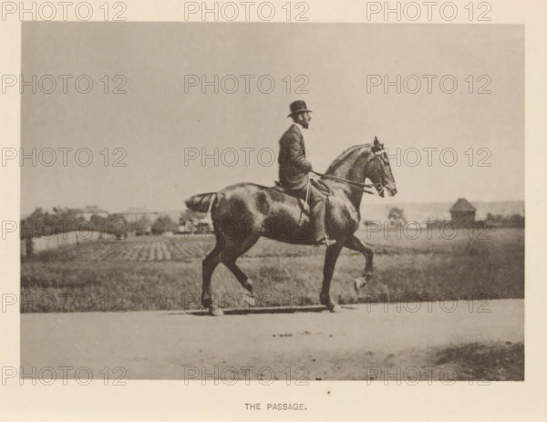 Man on a horse in passage, The passage, page, photomechanical print, cliché maker: Römmler & Jonas, Dresden, c. 1879 - in or before 1889, photographer, paper, collotype, photoprint, height 97 mm x width 137 mm, horse, riding a horse, ass, or mule, rider, horseman, head-gear: bowler hat, A sepia-toned photograph showing a man seated upright on a trotting horse captured in profile, the man wearing a dark suit and a brimmed hat and holding the reins, the horse shown mid-stride with visible tack and muscular detailing, a flat expanse of land and distant low buildings and trees in the background, and a light border surrounding the image.
