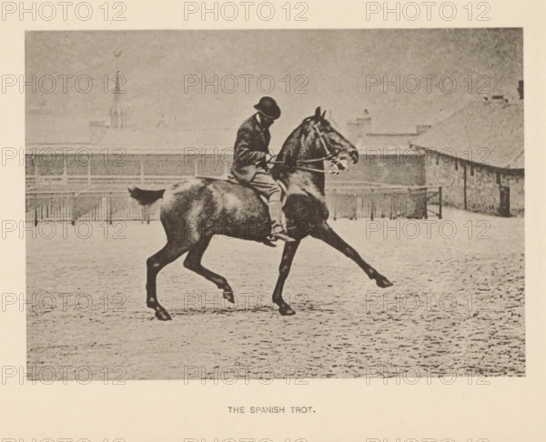 The Spanish trot, Man on a horse at Spanish trot, page, photomechanical print, photographer: Alexander Nicol (possibly), Edinburgh (possibly), cliché maker: Römmler & Jonas, Dresden, c. 1879 - in or before 1889, paper, collotype, photoprint, height 96 mm x width 137 mm, horse, riding a horse, ass, or mule, rider, horseman, head-gear: bowler hat, A sepia-toned photograph shows a person wearing a dark hat and coat riding a dark horse in an open, textured paddock; the rider sits upright holding reins while the horse moves with one front leg extended and one hind leg lifted, and a fence and low buildings are visible in the background beneath a pale, grainy sky.