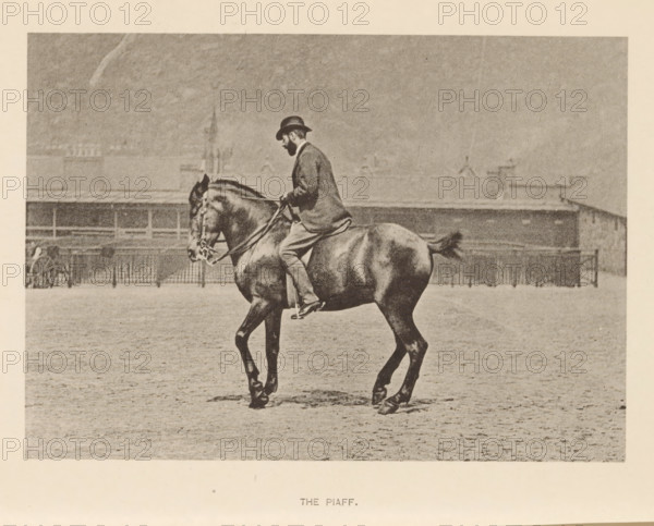 The piaf, Man on a horse in the piaf, page, photomechanical print, photographer: Alexander Nicol (possibly), Edinburgh (possibly), cliché maker: Römmler & Jonas, Dresden, c. 1879 - in or before 1889, paper, collotype, photoprint, height 97 mm x width 137 mm, horse, riding a horse, ass, or mule, rider, horseman, head-gear: bowler hat, A sepia-toned photograph of a man seated on a dark horse in profile, the man wearing a dark bowler hat, a jacket, and light trousers while holding reins, the horse shown mid-step with a visible bridle and tail, a flat open ground beneath them and a low railing and building structures in the background under a cloudy sky.