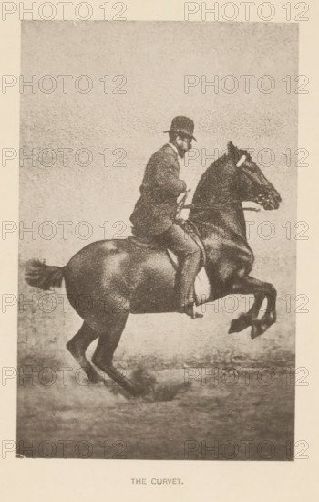 Man on a horse doing a curvet or box jump, The curvet, page, photomechanical print, cliché maker: Römmler & Jonas, Dresden, c. 1879 - in or before 1889, photographer, paper, collotype, photoprint, height 133 mm x width 83 mm, horse, riding a horse, ass, or mule, rider, horseman, head-gear: bowler hat, A grainy monochrome image of a man seated on a rearing horse, the man wearing a dark jacket and a bowler-style hat, holding the reins with both hands while facing sideways, the horse shown in profile with its front legs raised and tail extended, the background a textured plain, and a band of lighter space framing the image.