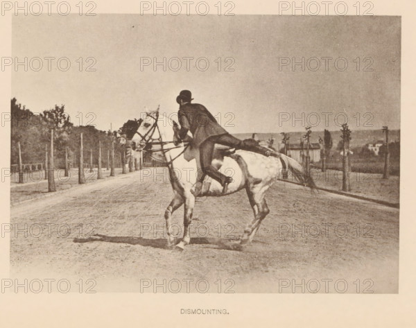 Man dismounting from a horse, Dismounting, page, photomechanical print, cliché maker: Römmler & Jonas, Dresden, c. 1879 - in or before 1889, photographer, paper, collotype, photoprint, height 97 mm x width 136 mm, horse, riding a horse, ass, or mule, rider, horseman, head-gear: bowler hat, A sepia-toned photograph shows a person wearing a dark jacket and a rounded hat leaning off the side of a light-colored horse while holding the reins, the horse is captured mid-step on a dirt road lined with evenly spaced young trees and a low fence, with distant low buildings and clusters of taller trees on the horizon under a wide, empty sky.