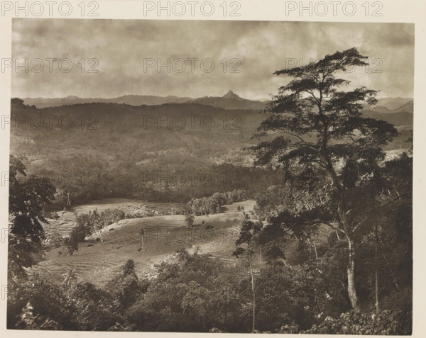 Scenery of the rural areas of Kandy district, Sri Lanka, page, photomechanical print, title: 'SCENERY OF THE KANDYAN DISTRICT.', photographer: Henry William Cave, Kandy, cliché maker: anonymous, 1896, South Asia, paper, Woodburygravure, Woodbury engraving, height 143 mm x width 186 mm, Print for page 11., dale, valley, A wide sepia-toned landscape photograph showing layered hills and a cloudy sky above, with a large tree silhouette in the right foreground whose branches and foliage extend across the upper right area, terraced fields and scattered trees visible on the slopes below, dense forested areas filling the middle ground, and distant ridgelines fading toward the horizon.