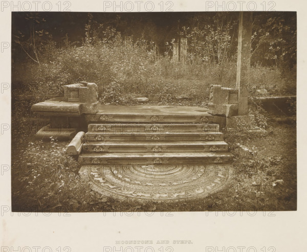 Moonstone and steps in front of the palace of King Mahasena at Anuradhapura, Sri Lanka, page, photomechanical print, title: 'MOONSTONE AND STEPS.', photographer: Henry William Cave, Anuradhapura, cliché maker: anonymous, 1896, South Asia, paper, Woodburygravure, height 128 mm x width 182 mm, Print for page 77., sculpture (relief, sculpture), flight of steps, A sepia-toned photograph showing a set of carved stone steps leading up to a rectangular platform flanked by low stone walls with block-like ends, the steps decorated with repeating carved motifs along their risers and worn surfaces, a semicircular carved stone slab with concentric ornamental bands placed at the base of the steps and partially overgrown, dense foliage and tall plants filling the background behind the platform, and scattered grass and small plants growing around the stones.