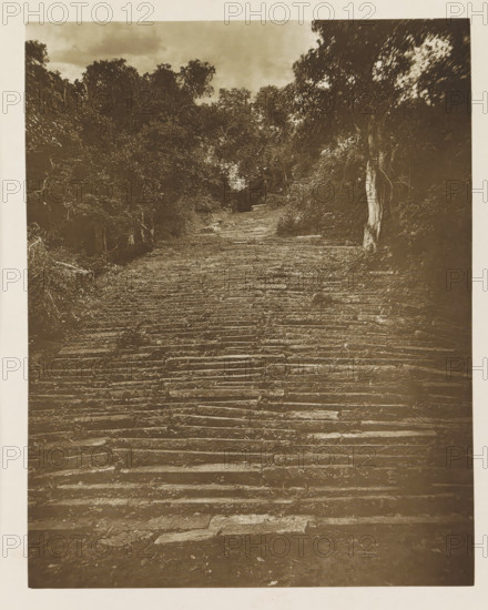 Flight of stairs at Mihintale, Sri Lanka, page, photomechanical print, title: 'FLIGHT OF STAIRS AT MIHINTALE.', photographer: Henry William Cave, Mihintale, clichémaker: anonymous, 1896, South Asia, paper, Woodburygravure, height 185 mm x width 146 mm, Print for page 27., mountains, flight of steps, A wide, worn stone stairway ascends toward a shaded area framed by dense trees and foliage on both sides, with uneven, textured steps showing cracks and small plants between them; a taller tree trunk stands prominently on the right side near the midsection, and the canopy above creates a darker, mottled sky visible at the top of the image.