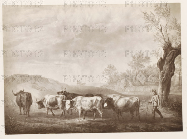 Photo reproduction of a print after a painting, depicting a shepherd with a herd of cows, photograph, reproduction, page, after print by anonymous, after painting by Paulus Potter, c. 1859 - in or before 1869, photographer, after print by, paper, albumen print, height 130 mm x width 178 mm, herding, herdsman, herdswoman, shepherd, shepherdess, cowherd, bovine cattle, A sepia-toned rural scene showing a group of cows standing and grazing in a shallow muddy area in the foreground, a man wearing simple garments and a hat walking with a long staff near a large gnarled tree on the right, a cluster of houses partially obscured by trees further back, a distant cart drawn by animals on a road toward the horizon, and a broad cloudy sky occupying much of the upper portion of the image.