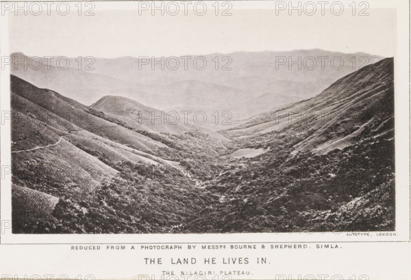 The land he lives in. The Nilagiri plateau, page, photomechanical print, number: 'No. 10', photographer: Bourne & Shepherd, Nilgiris, cliché maker: anonymous, United Kingdom, printer (person): Autotype Printing Company, London, c. 1863 - in or before 1873, printer (person), South India, Tamil Nadu, paper, collotype, photoprint, height 96 mm x width 166 mm, dale, valley, A wide grayscale photograph of a hilly landscape with layered ridges receding into the distance, showing gentle slopes and rounded hilltops; the foreground contains a densely textured valley of shrubs and small trees, with terraces or contour lines visible along the hillsides and narrow winding paths cutting across slopes; distant hills fade into lighter tones toward the horizon, and a thin border surrounds the image.