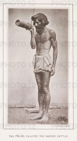 The pâlâl salutes the sacred cattle, page, photomechanical print, number: 'No. 17', photographer: Bourne & Shepherd, Nilgiris, photographer: Nicholas & Curths, cliché maker: anonymous, printer (person): Autotype Printing Company, London, c. 1863 - in or before 1873, printer (person), paper, collotype, photoprint, height 151 mm x width 82 mm, priest, non-Christian religions, A sepia-toned full-body photograph of a barefoot man standing on a textured ground, wearing a short wrapped garment around his waist. He is slender and bare-chested with visible chest hair, a beard, and wavy shoulder-length hair. His left arm hangs down by his side while his right arm is raised, holding a cylindrical object near his face from which a thin stream of liquid flows. The background is plain and framed by a white border.